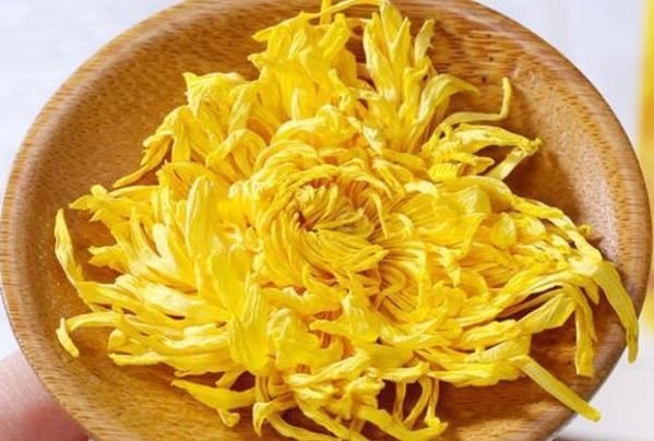 菊花功效 菊花功效