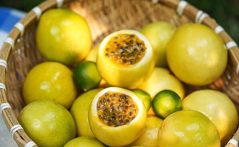 百香果中醫禁忌 百香果中醫禁忌