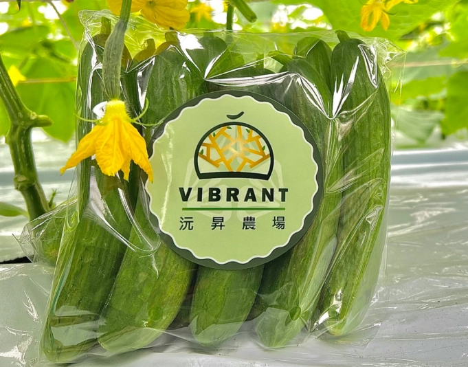 小黃瓜栽培方法 小黃瓜栽培方法