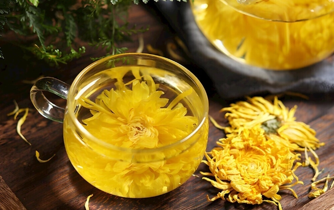 菊花茶副作用