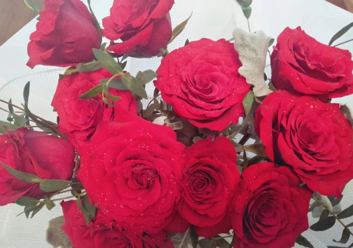 花卉象征意義 花卉象征意義