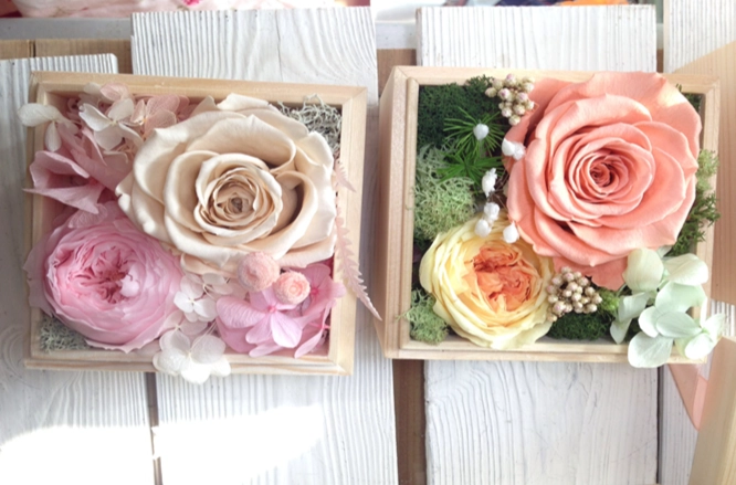 永生花颜色禁忌