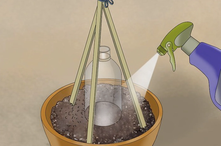 小黃瓜種植技巧