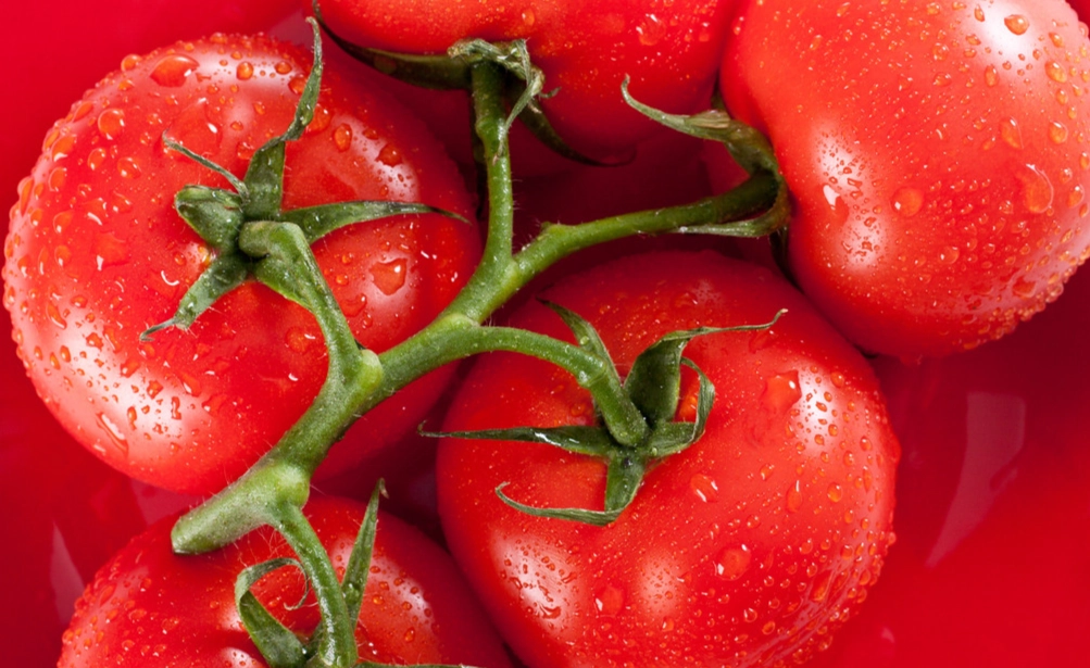 小番茄種植方法 小番茄種植方法