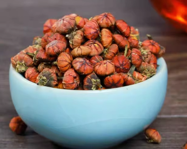 血菊花茶泡法 血菊花茶泡法