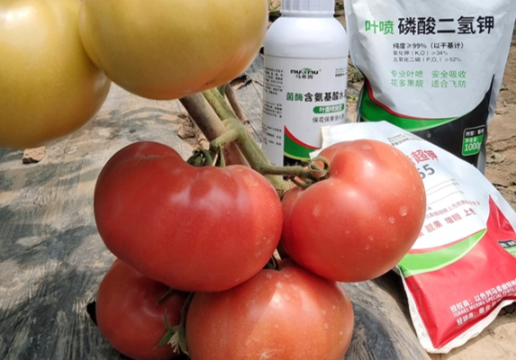 開花肥選擇 開花肥選擇