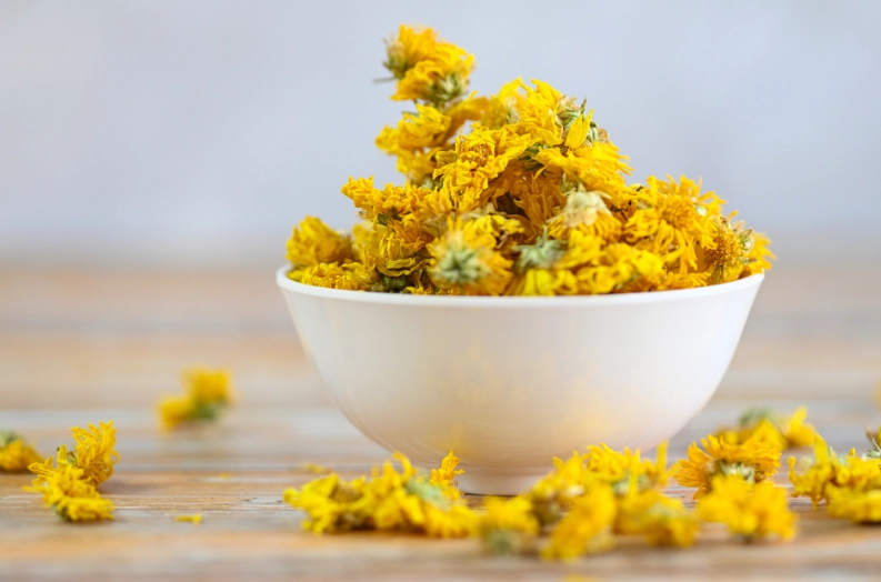 乳癌飲食 菊花茶