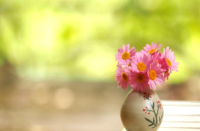 祝福花卉 祝福花卉