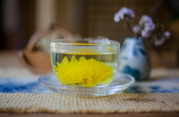 菊花茶禁忌 菊花茶禁忌