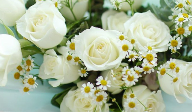 花语个性解读 花语个性解读