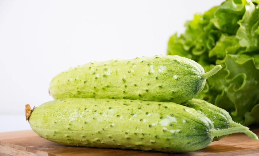 小黃瓜生長階段 小黃瓜生長階段