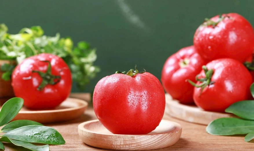 番茄移植時間 番茄移植時間