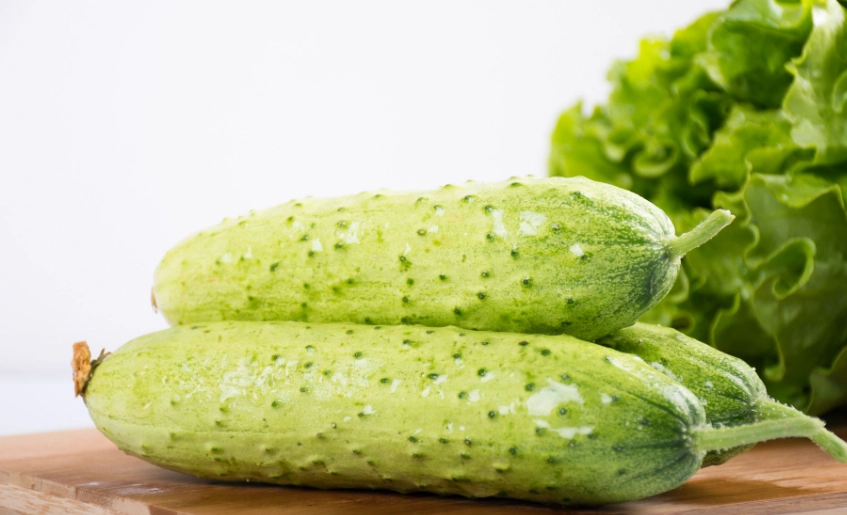 黃瓜病蟲害防治