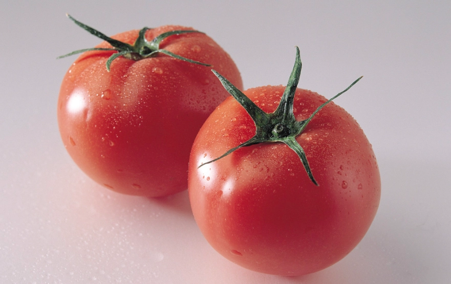 番茄移植時間 番茄移植時間