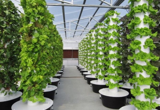 水耕設備推薦 水耕設備推薦