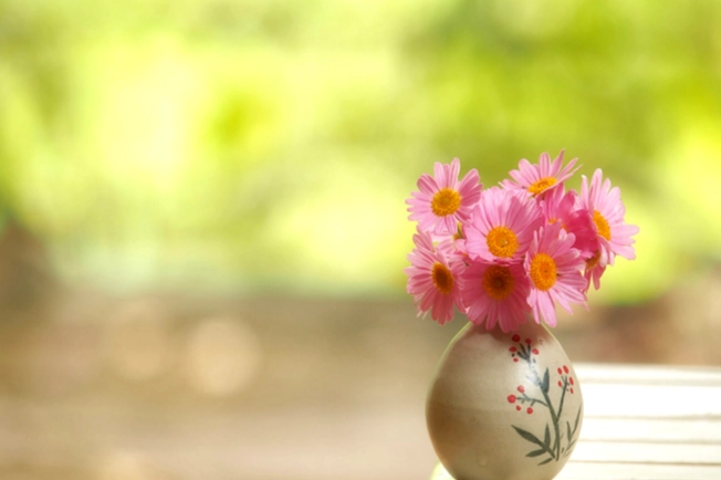 花朵性格象征 花朵性格象征