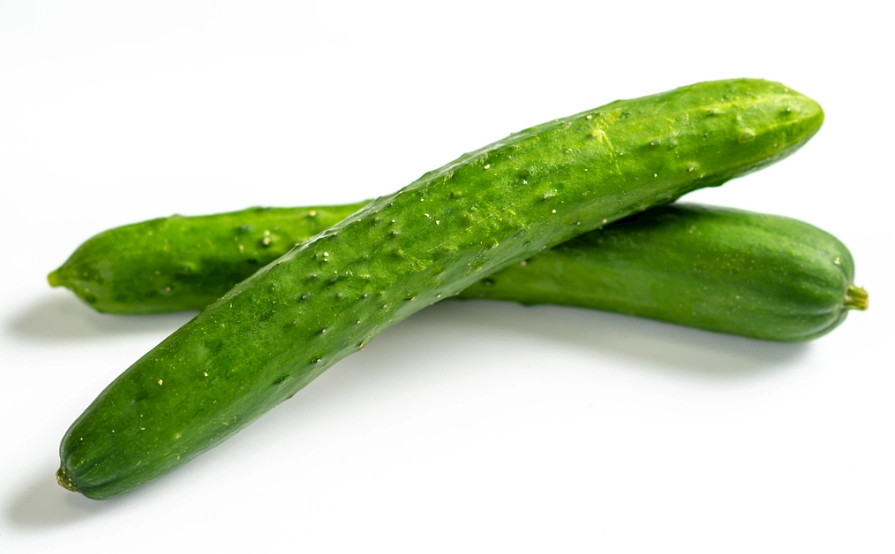 小黃瓜栽培間距 小黃瓜栽培間距