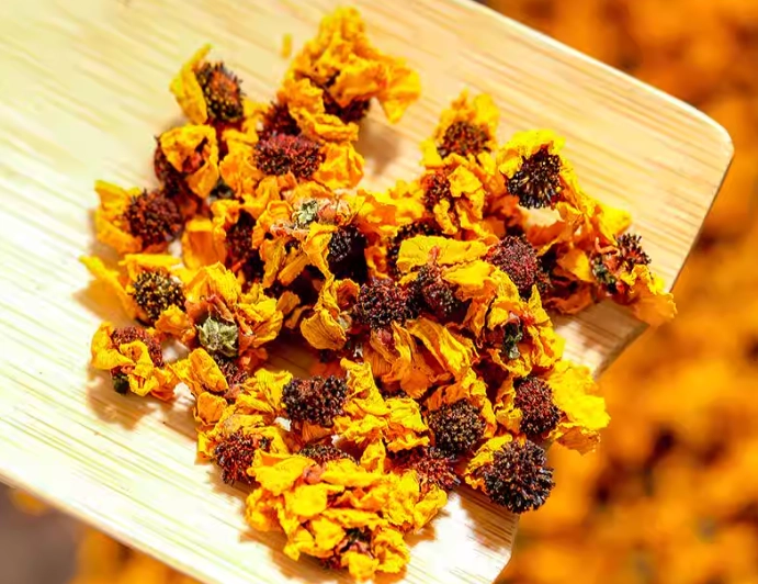 血菊花茶哪裡買 血菊花茶哪裡買