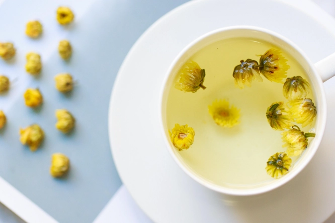 冬季養生茶飲 冬季養生茶飲