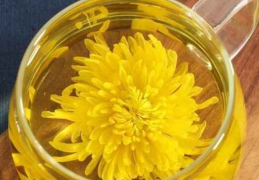 菊花水好處 菊花水好處