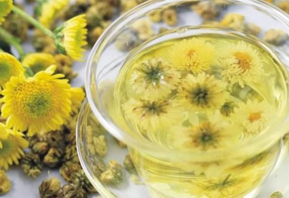 菊花茶腹瀉原因