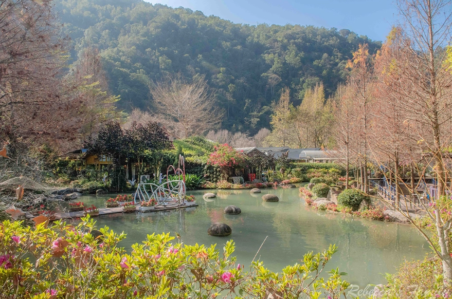 農場住宿體驗 農場住宿體驗