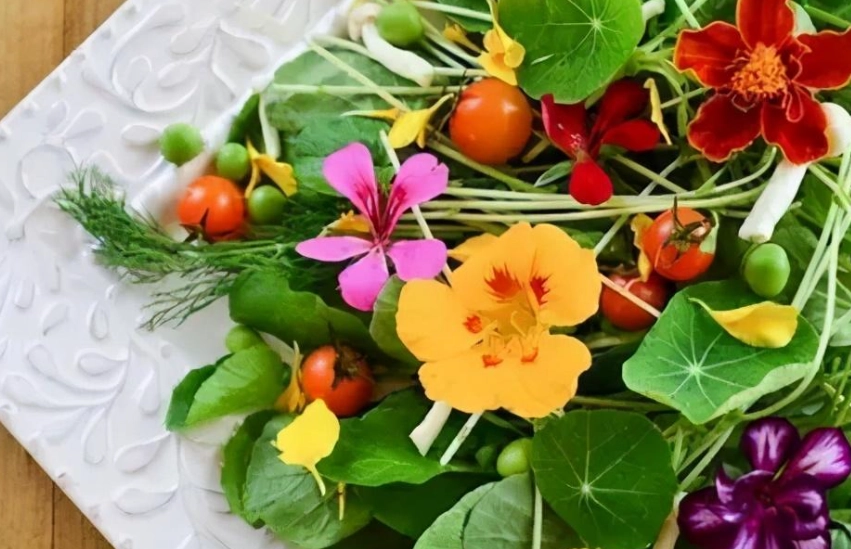 食用花種類 食用花種類