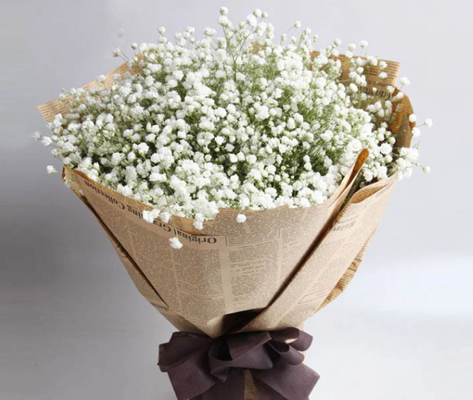 蘭花養護技巧 蘭花養護技巧