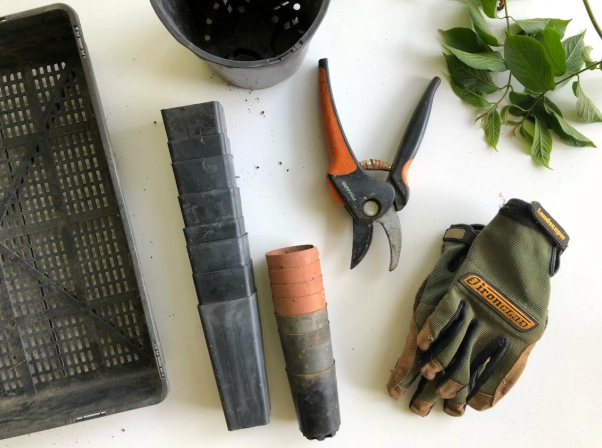 盆栽照顧方法 盆栽照顧方法