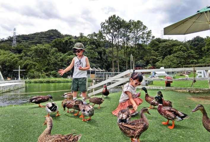 台灣親子農場 台灣親子農場