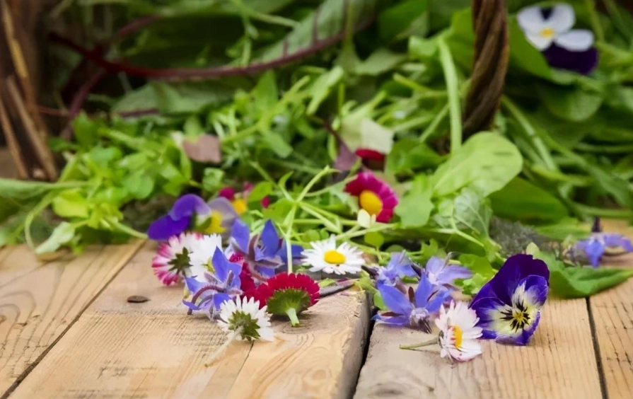 食用花料理 食用花料理