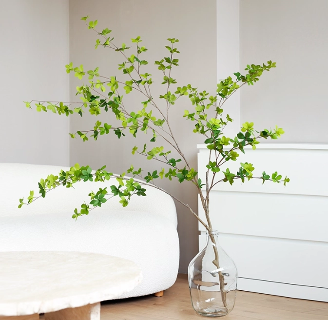 日本吊鐘樹病蟲害 日本吊鐘樹病蟲害