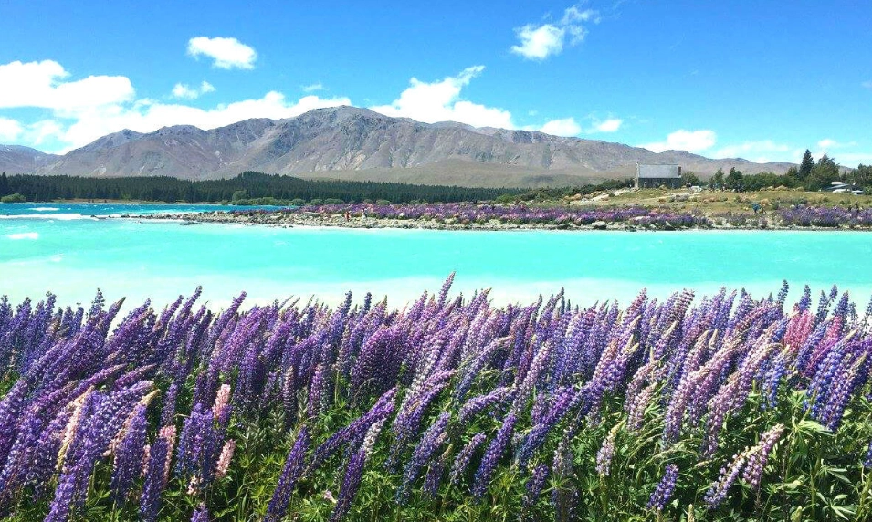 紐西蘭旅遊預算