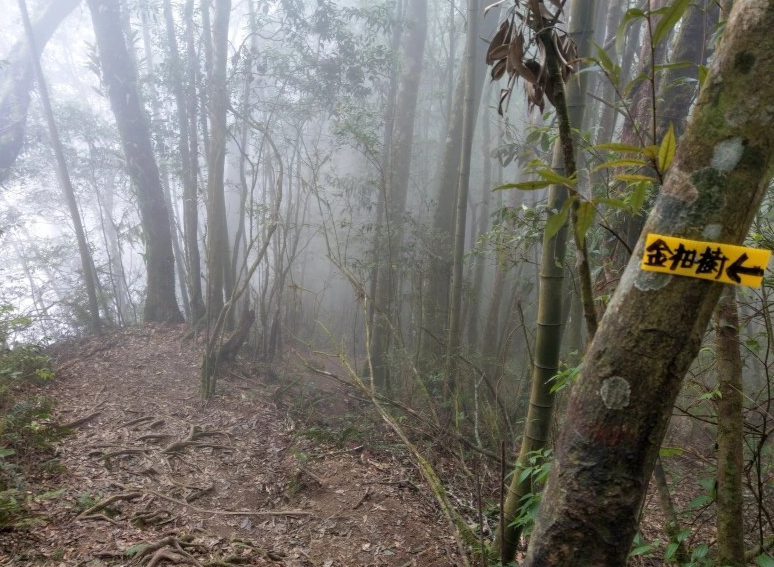 留龍頭登山 留龍頭登山