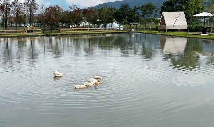 家庭休閒農場體驗