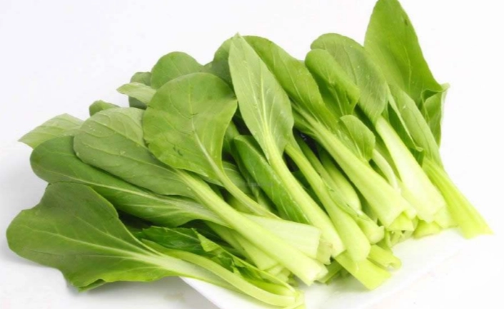 黃化小白菜處理 黃化小白菜處理