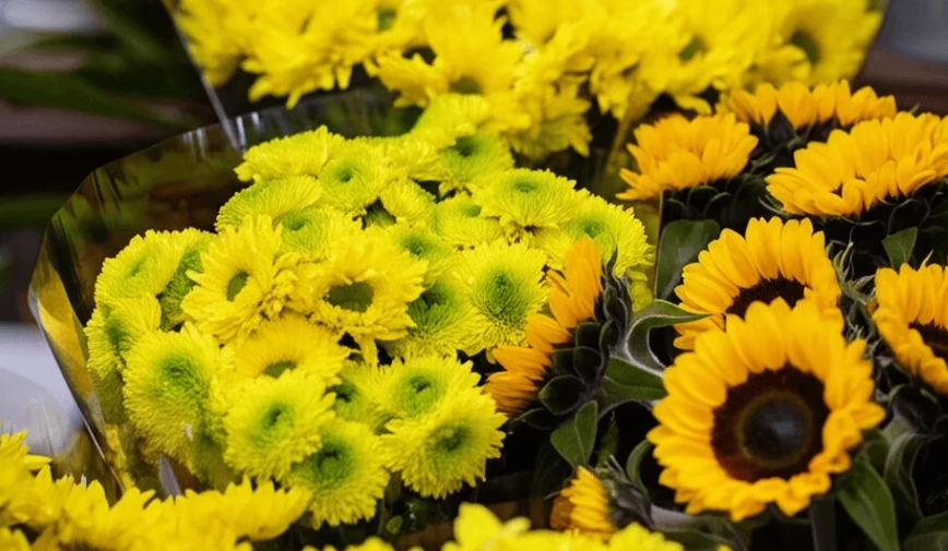 花卉象征 花卉象征