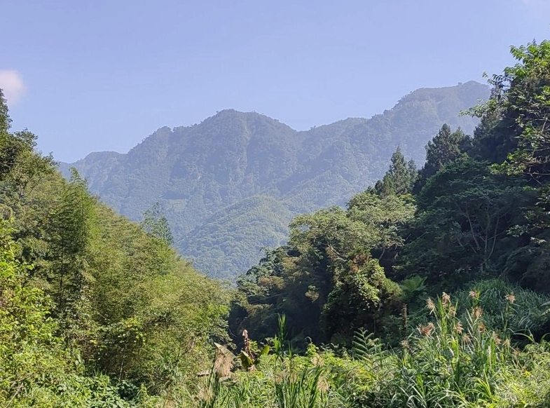 台灣山峰高度 台灣山峰高度