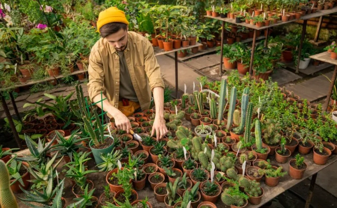 盆栽照顧方法 盆栽照顧方法