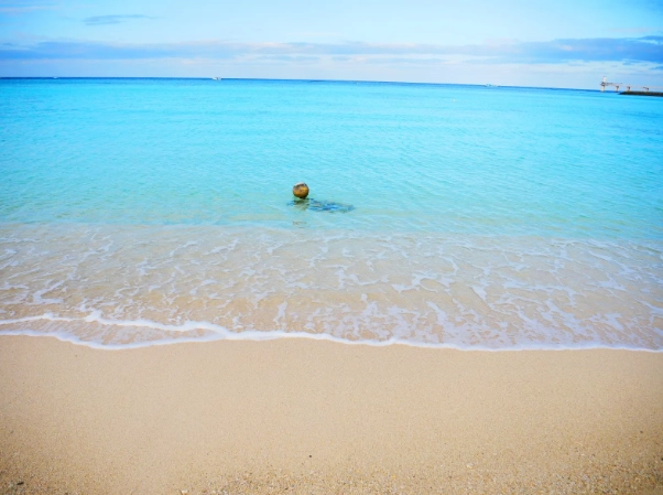 沖繩旅遊指南 沖繩旅遊指南