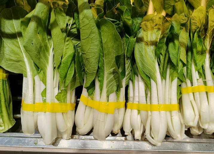 小白菜保存方法 小白菜保存方法