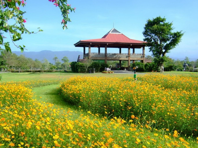 農場旅遊體驗 農場旅遊體驗
