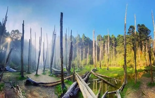 忘憂森林徒步時間