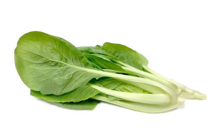 黃化小白菜處理 黃化小白菜處理