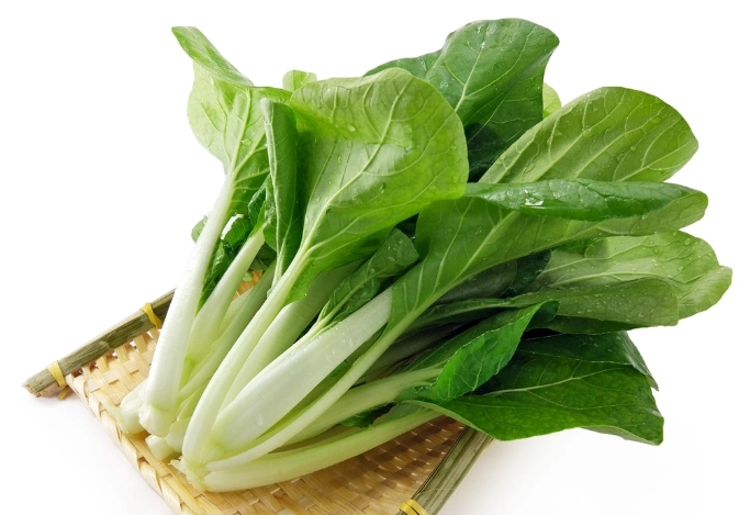 黃化小白菜處理 黃化小白菜處理