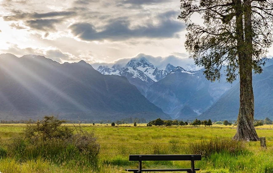 紐西蘭自由行費用