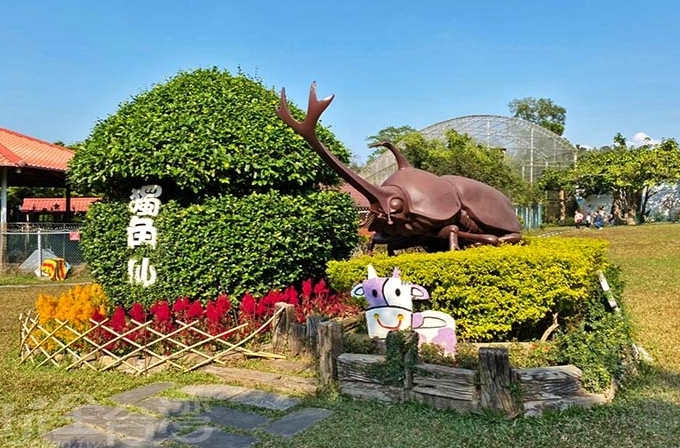 農場旅遊體驗 農場旅遊體驗