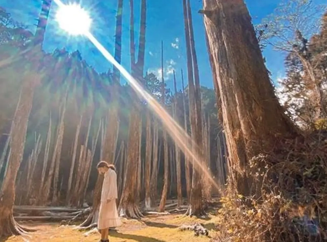 忘憂森林徒步時間