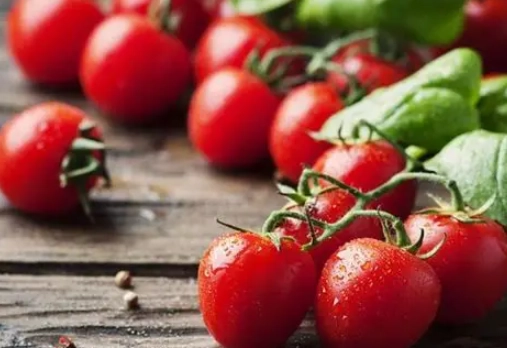 番茄結果期管理