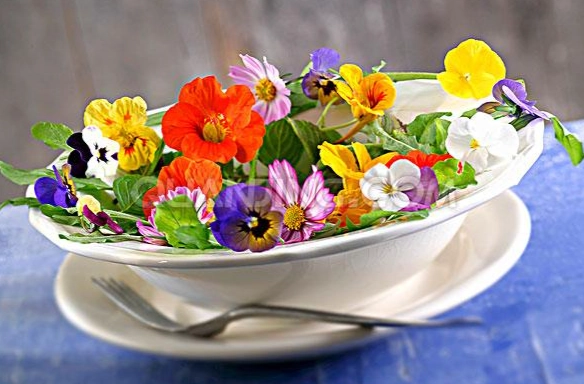 食用花種類 食用花種類